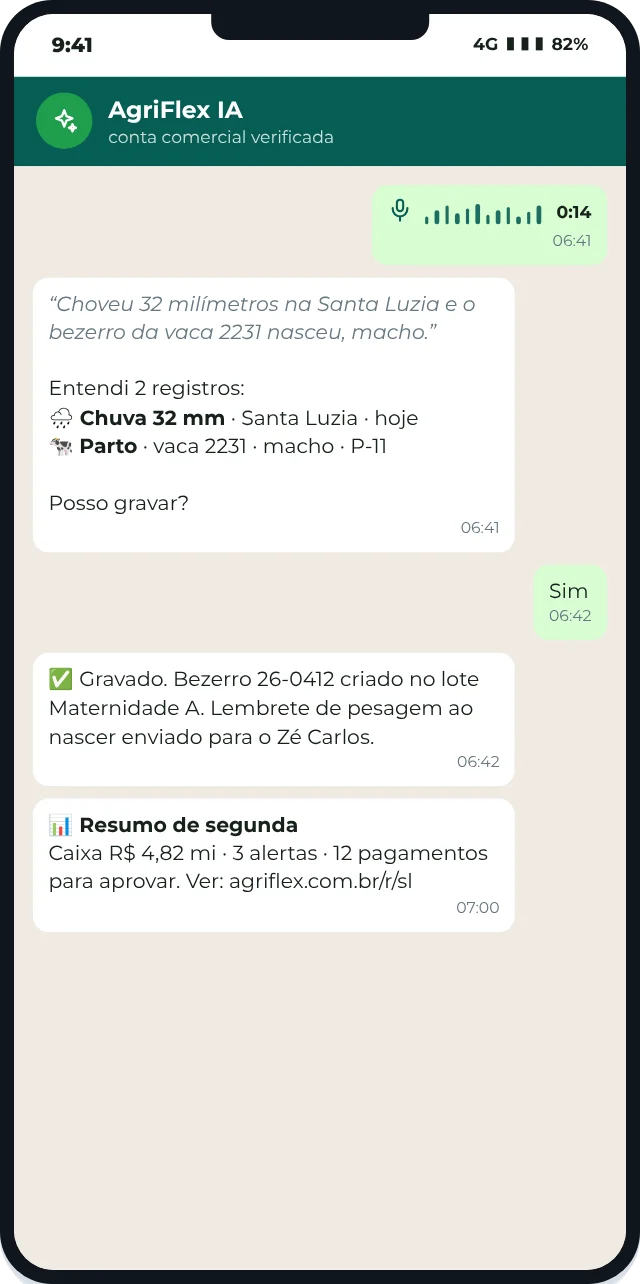 IA no WhatsApp